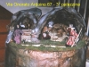 Via-Onorato-Ardoino-67-3-palazzina